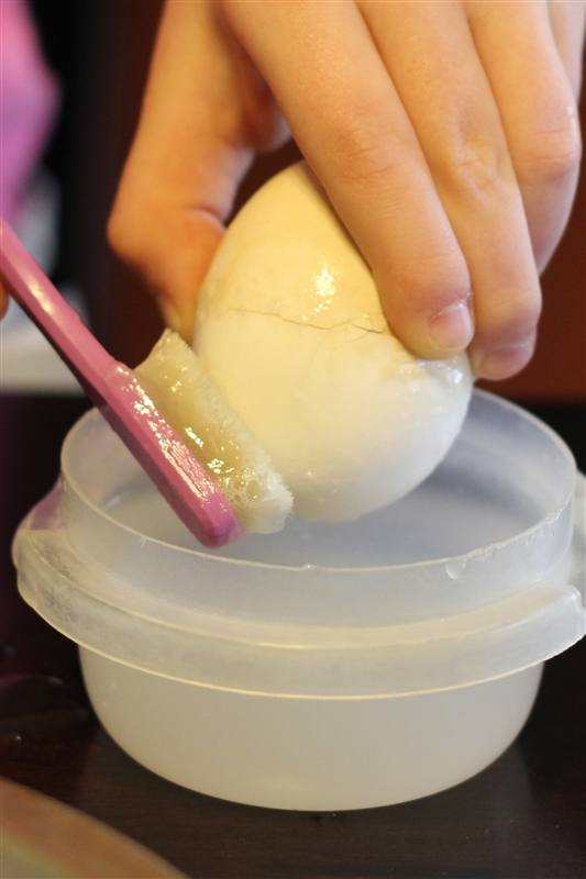 Egg Brushing Activity